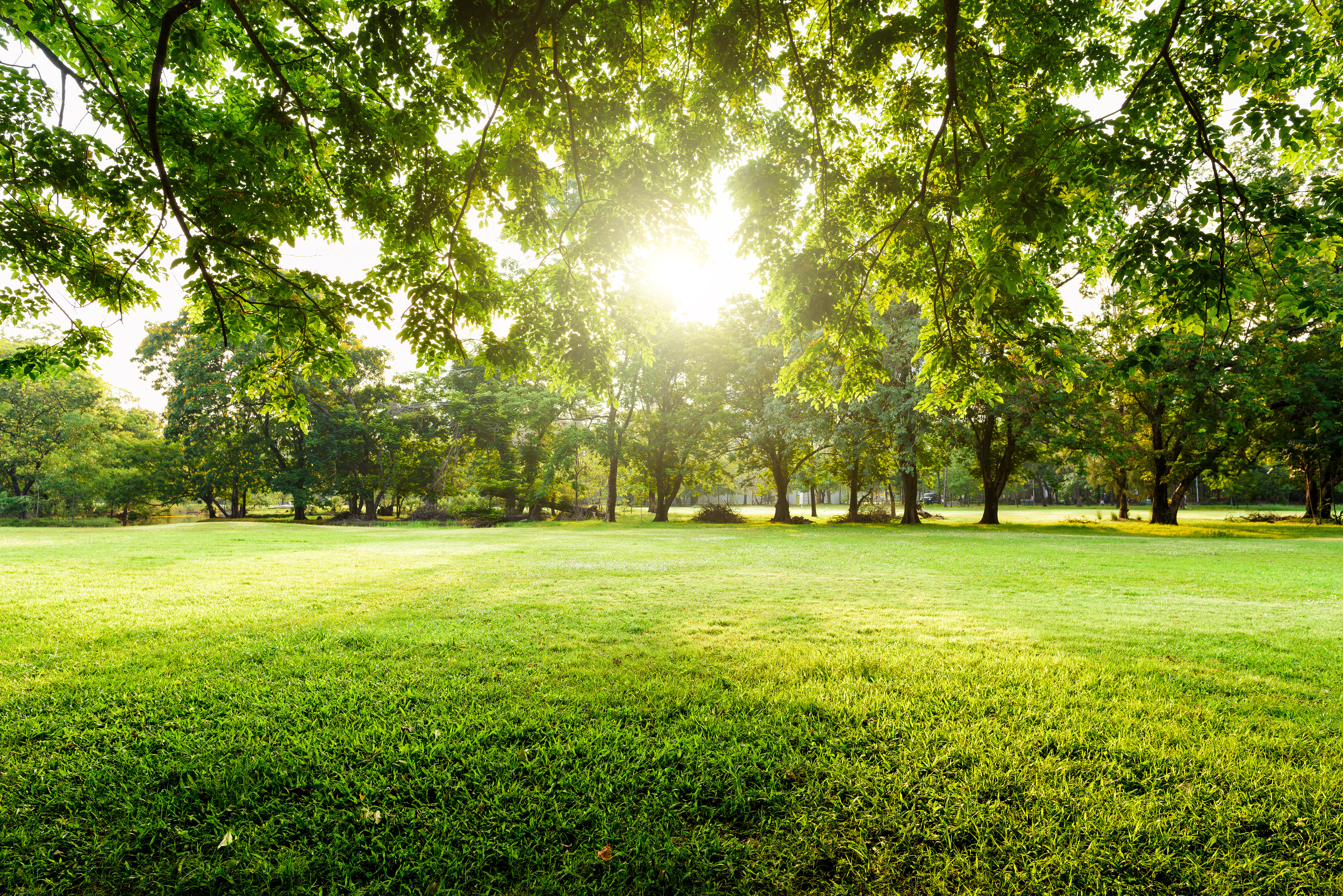 Outdoor Recreation