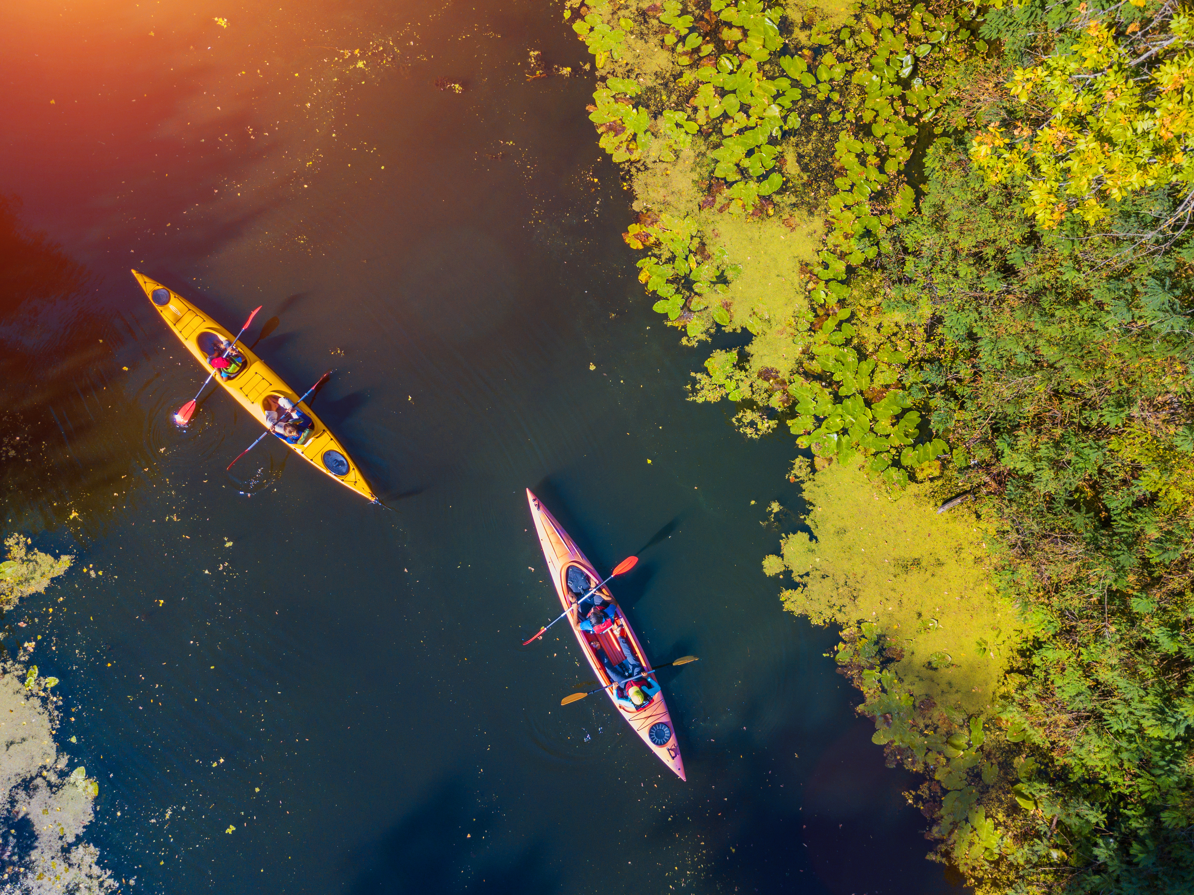 Water Recreation